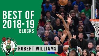 Robert Williams Best Blocks 2018/19 NBA Regular Season