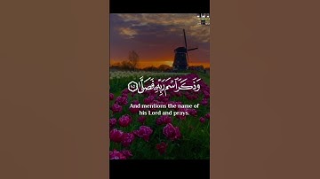قد أفلح من تزكى #تلاوةخاشعة #قرآن_كريم