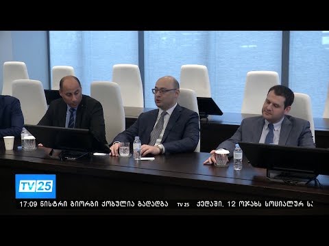 გიორგი ქობულია ნათია თურმავამ ჩაანაცვლა