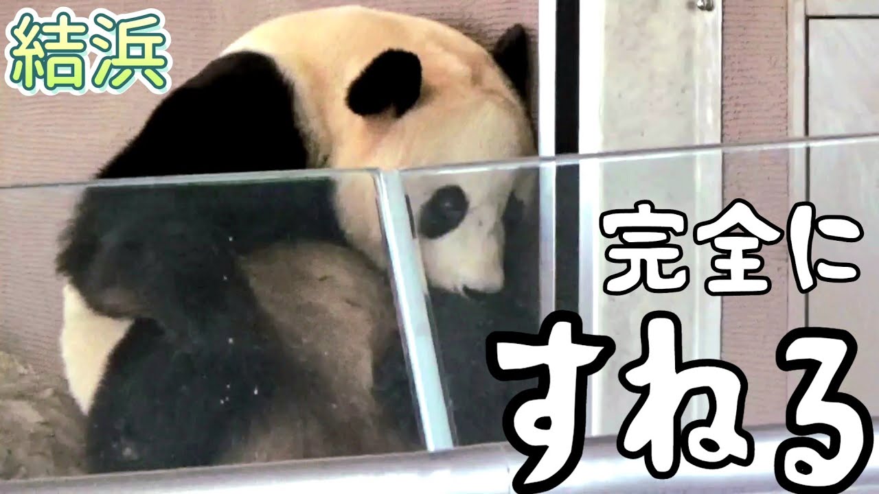 二回もやる！？🐼💦ショックな事が起きた結ちゃん🎀がっくし&すねすねモードに😂