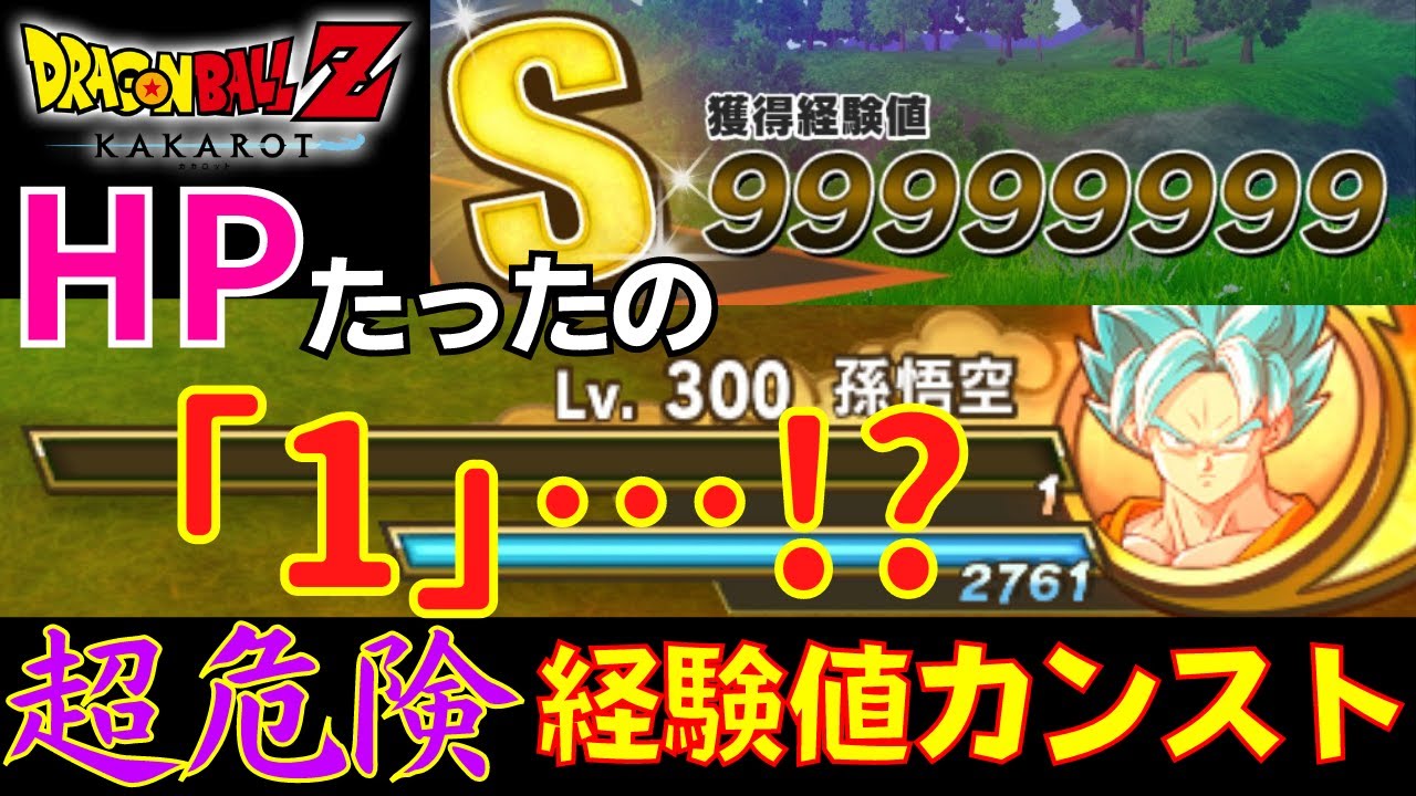 17分切り】DBZ カカロット 即死覚悟なレベル上げ!!最速で経験値を