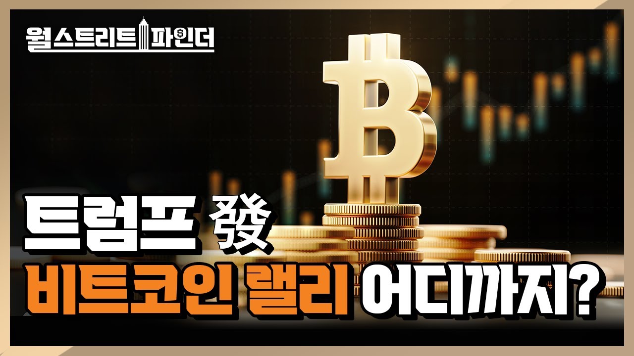 트럼프 트레이드 최대 수혜는 ‘비트코인’ | 월스트리트파인더 | 2024.11.22(금)