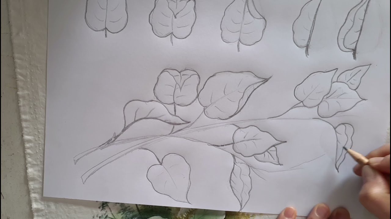 Como desenhar folhas simples