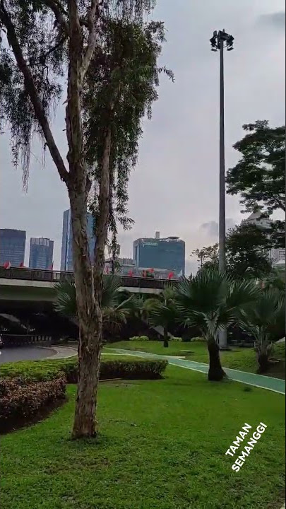 TAMAN DI JEMBATAN SEMANGGI
