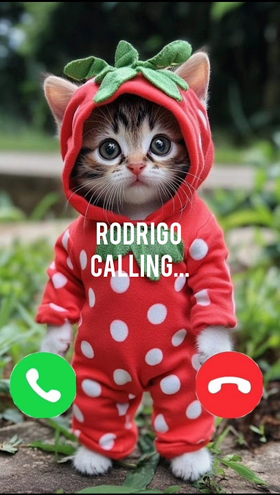 Rodrigo calling 🤙✨ #ringtone #cat #calling #foryou #cutecat #trending #youtubeshorts #youtube #viral