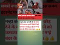 माँ से बिछड़ा नन्हा बंदर 😢 खिलौने को कसकर पकड़े बैठा | Heart Touching #shorts
