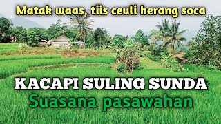 Kacapi Suling Sunda ,matak Waas,suasana Pasawahan | Sundaan | Tiis Ceuli Herang 