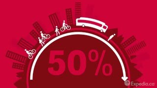 Which Cities Recycle The Most?
