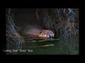 Images on the Water 2020 Photo Show