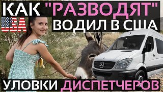 видео: Работа на вэне в США | Как не стать осликом | Уловки диспетчеров | Как  картинка: Работа на вэне в США | Как не стать осликом | Уловки диспетчеров | Как