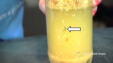 Extracting Iron from Breakfast Cereal