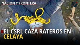 El Csrl Caza Rateros En Celaya