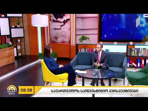 საქართველოს საინვესტიციო პერსპექტივა