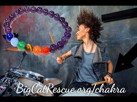 leopard print Just YOUR Style Healing Chakra Bracelet