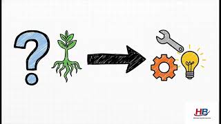 The Problem Solving Process and Problem Solving1 0