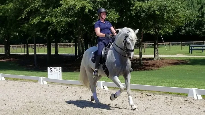 Melissa Vaughn and Boneco prepare for Intermediate 1