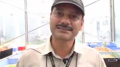 Salinity tolerance in rice: progress at IRRI