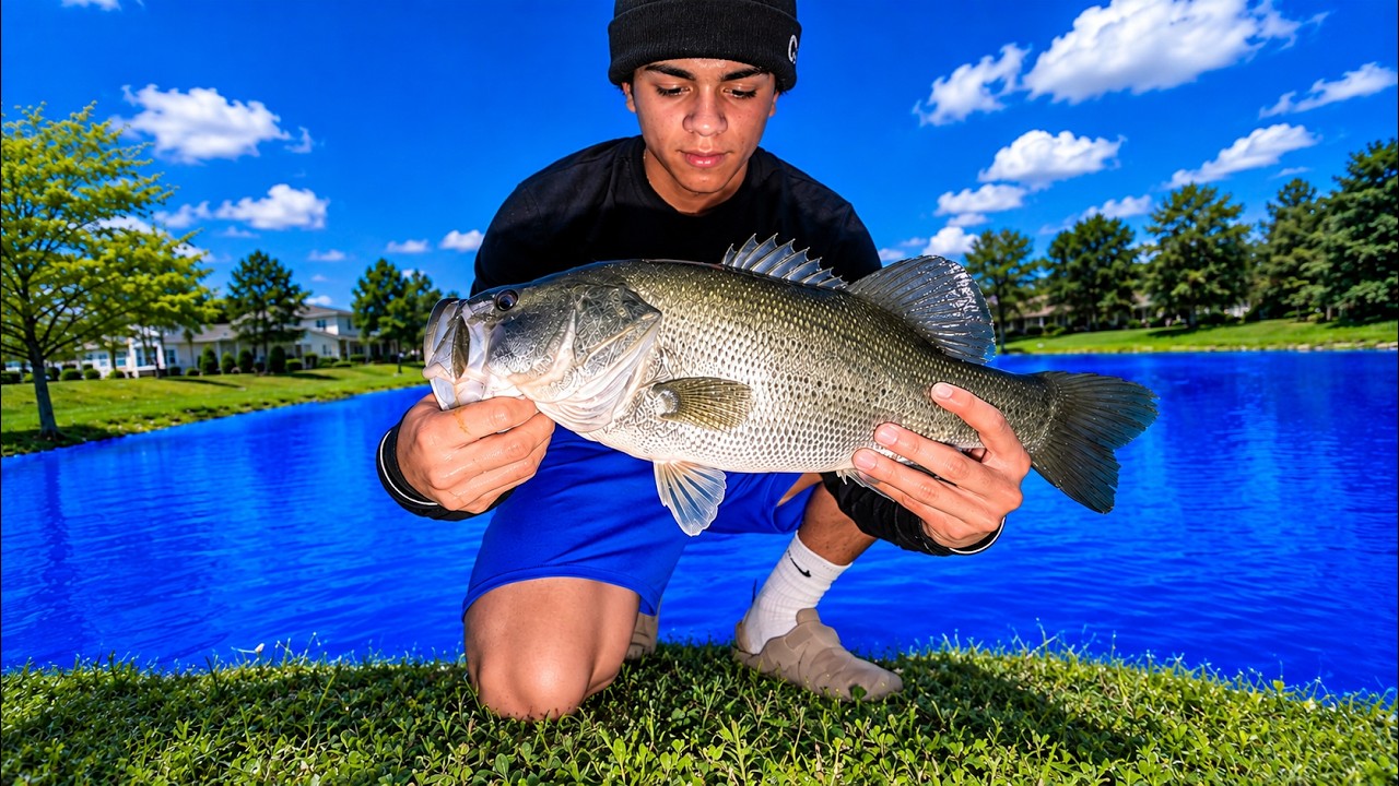 Catching BIG BASS in BLUE pond!