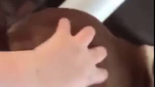 Dog Ass Grab (Law And Order)