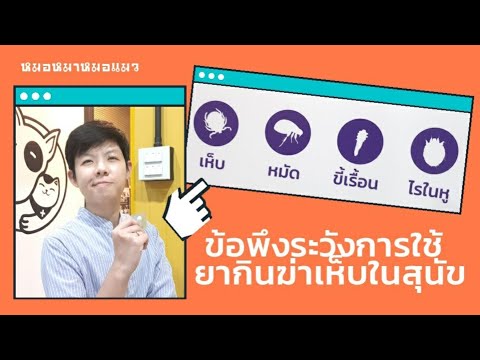 วีดีโอ: การแนะนำอยู่ในลำดับ: สัตว์เลี้ยงใหม่, ทารกใหม่