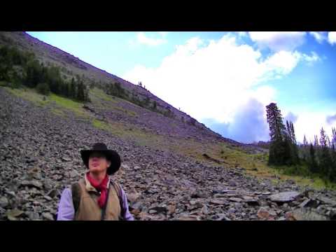 MOUNTAIN GOAT ENCOUNTER!!