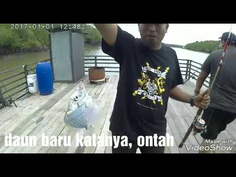 Rumah Rakit Bagan Lalang : Rumah Rakit Sungai Sepang - Micro USB c