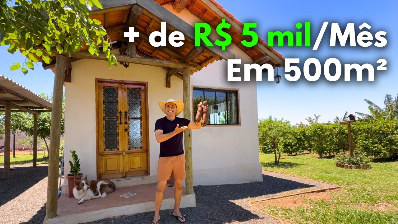 Ganhe mais de R$5.000/mês morando no campo (Sem Ser Influencer)