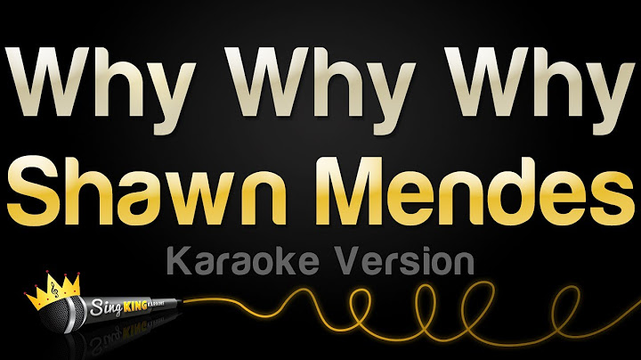 Shawn Mendes - Why Why Why (Karaoke Version)