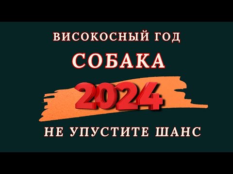 Собака - Китайский гороскоп 2024 года. Високосный год дракона 2024