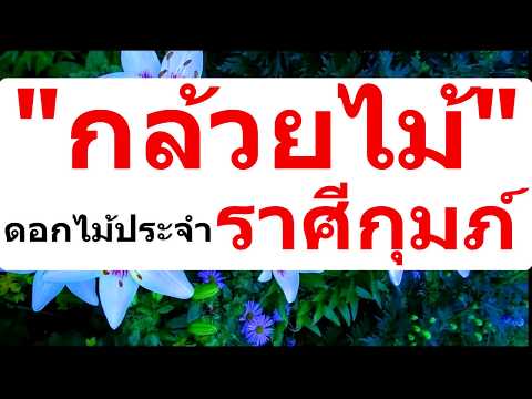 วีดีโอ: พืชจักรราศี – เรียนรู้เกี่ยวกับดอกไม้สำหรับราศีของคุณ