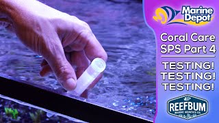 How to Test Your Aquarium!  SPS Coral Care Part 4