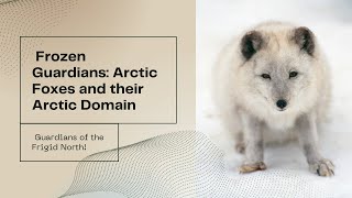 Frozen Guardians: Arctic Foxes and their Arctic Domain