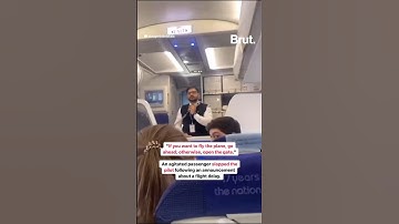 IndiGo Pilot Slapped By Passenger After 13-Hr Delay, Files Police Complaint #indigo #shorts #flight