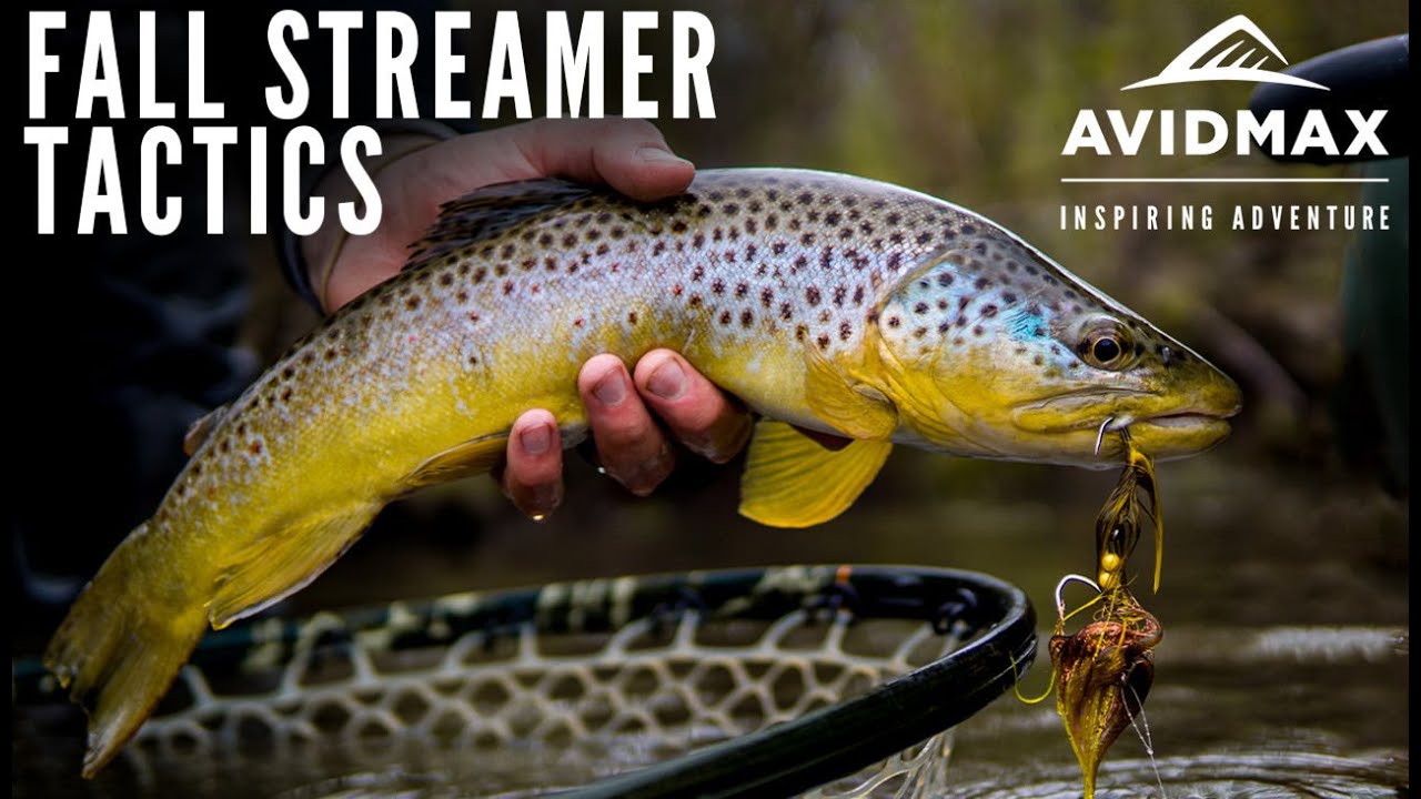 Fall Streamer Tactics Fly Fishing & Floating in Colorado YouTube