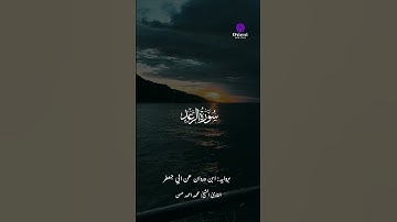 🌿 صوت يلامس القلب والروح | تلاوة مميزة للشيخ محمد أحمد حسن 💫