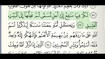 سورة الحج. القارئ الشيخ ياسر سلامة. حدر