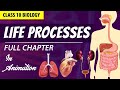 Life processes Full chapter | class 10 Animated video | 10th BIOLOGY | ncert #science | Chapter 6