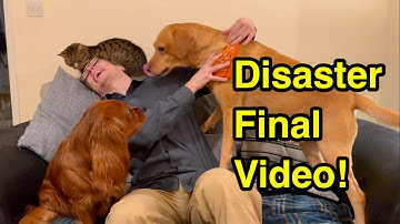 A failed video to end 2024!