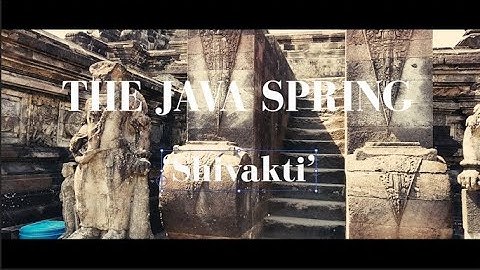 Rodrigo Parejo ‘THE JAVA SPRING’: 