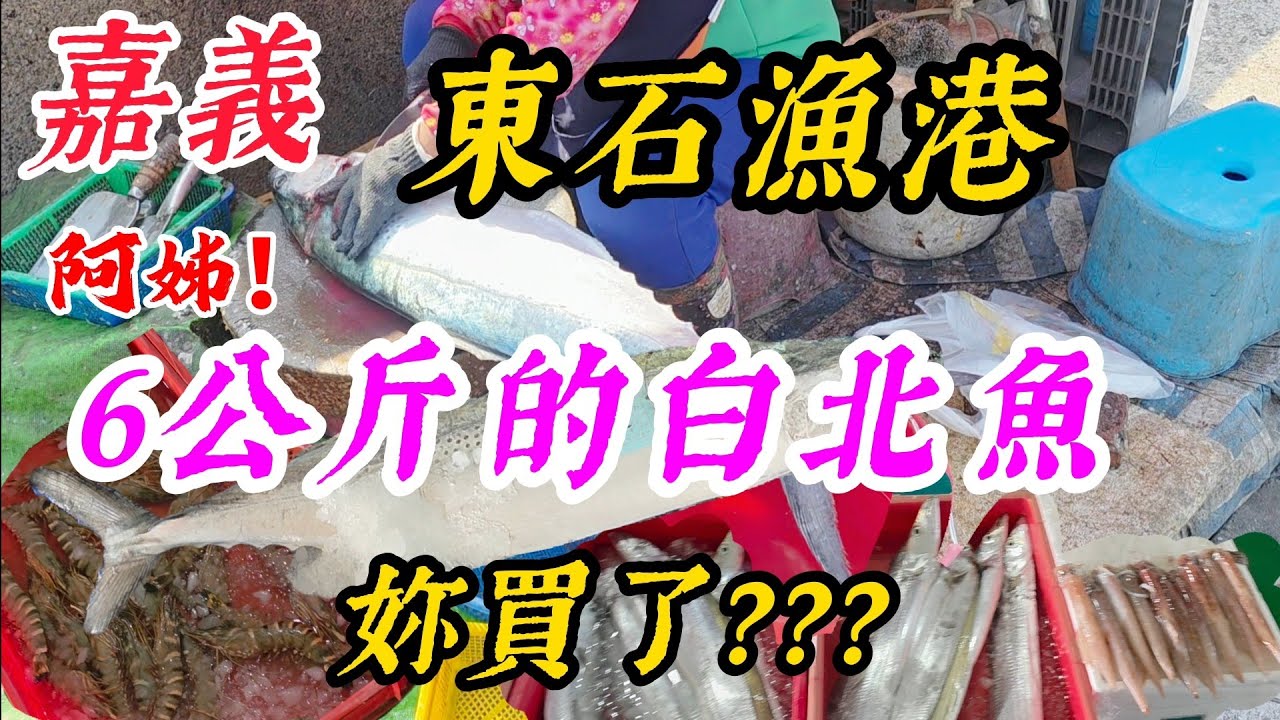 〔東石漁港買土魠魚〕今年的東北季風那麼大？土魠魚跟白北魚都有捕到嗎？高雄茄萣的大哥你買了大土魠魚，新營來的大姊，妳把最漂亮的闊北魚買下了……東石漁港、土魠魚、白北魚、闊北魚。