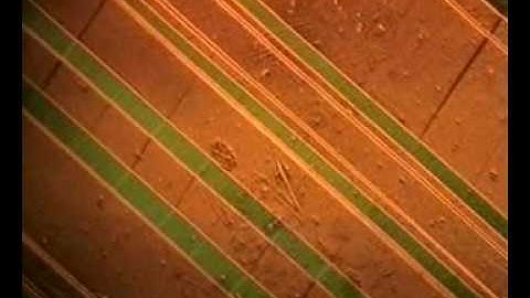 Changes in microstructure of a shape memory alloy (CuAlNi single crystal)