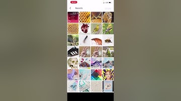 Creating shared portfolio in drive (app)