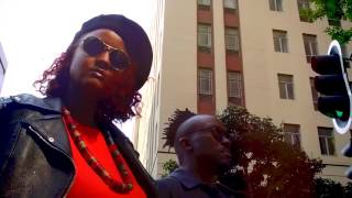 The Coalition Coming Soon To Vuzu Amp