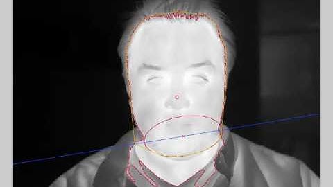 Example Face Detection Koscik2 - Process