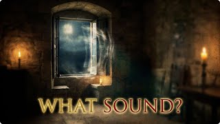 Banshee - The Sound Came First. The Records Ended Later.