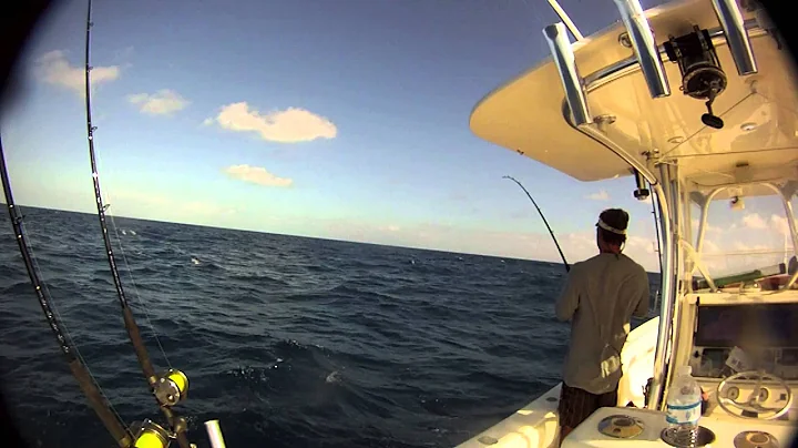 FL Keys Sailfish Trip 1-1-2013