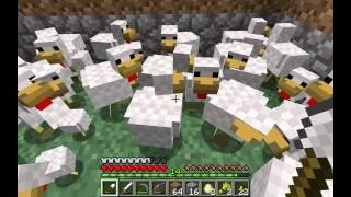 CHICKEN PIT