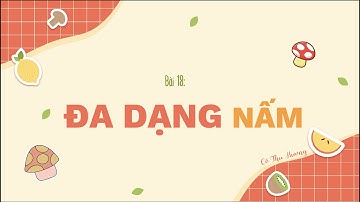 Bài 18. ĐA DẠNG NẤM (phần 2) - KHTN lớp 6 - sách Cánh diều - OLM.VN