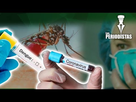 amÉrica-enfrenta-dos-pandemias:-el-coronavirus-y-el-dengue