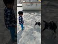 Cute baby goat playing with children  funny baby goat  waleed  arham playing with baby goat